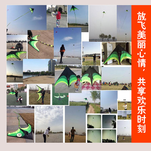 儿童风筝潍坊风筝2米/2.8米大草原网红风筝成人微风易飞风筝 - 图2