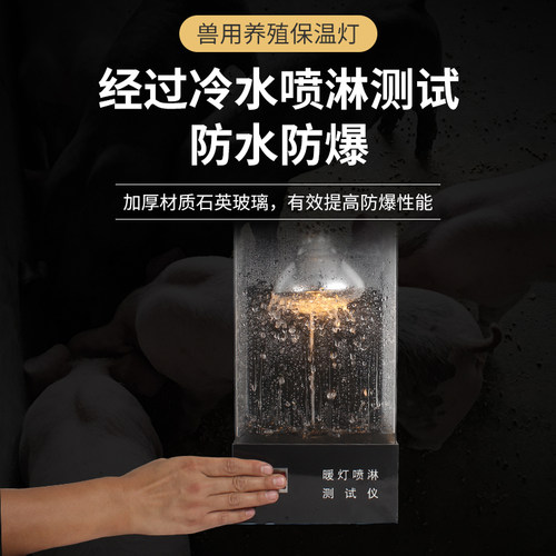 猪博士加厚养殖取暖灯猪用防水防爆红外线保温灯泡小鸡仔猪加热灯 - 图0