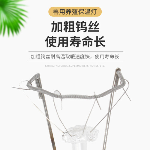 猪博士加厚养殖取暖灯猪用防水防爆红外线保温灯泡小鸡仔猪加热灯 - 图2