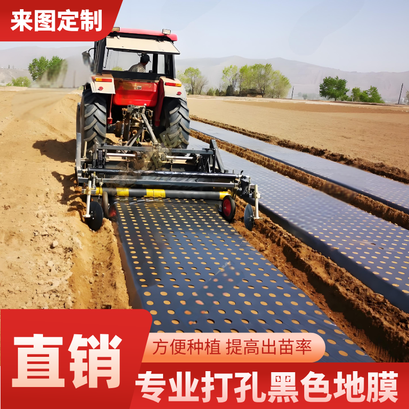 加厚开孔打孔黑地膜农用种植除草塑料薄膜草莓羊肚菌药材带孔地膜 - 图2