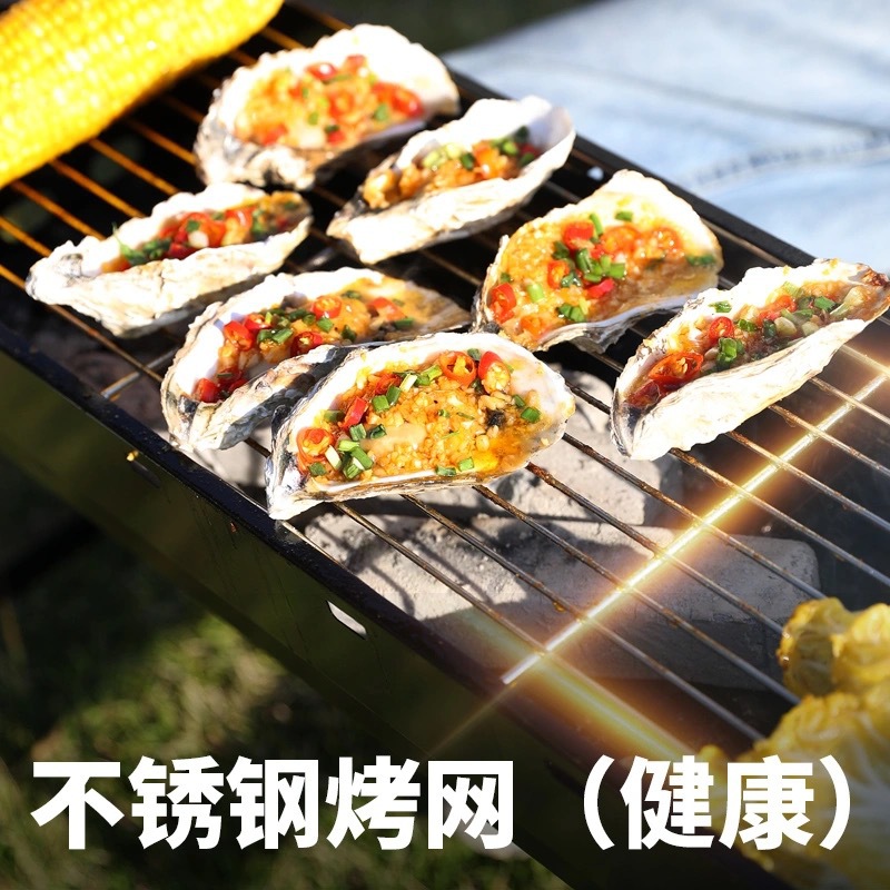 加厚烧烤炉家用木炭烧烤架户外碳烤炉野外大烤肉炉子室内用具bbq - 图0