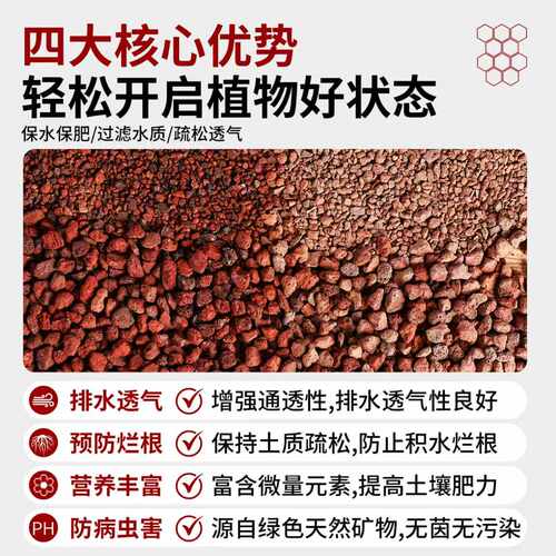 火山石颗粒多肉兰花专用颗粒土植料铺面石鱼缸底砂滤材红色火山岩 - 图1