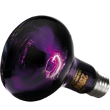 Бесплатная доставка рептилий Петутная коробка UVA Night Light Night Изоляция нагревание лунный свет светлая световая земля ящерица черепаха Жизненная гарантия