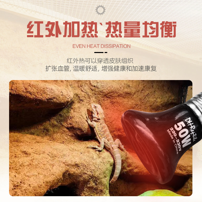 包邮质保 优质迷你陶瓷加热器陆龟/变色龙/蜥蜴用 25//50/75W C款,淘宝优惠券,粉丝福利购,淘宝优惠卷