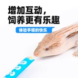 Высокий белок и кальциевый синий язык зерно -зерно синий язык саженцы с основной едой для еды с медовой сумкой черепаха ползание питом