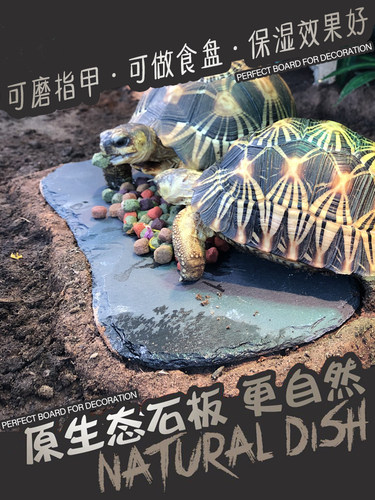 DH 原生态石板石盘 岩板 天然食盘 陆龟 磨指甲保湿助脱皮造景 - 图2