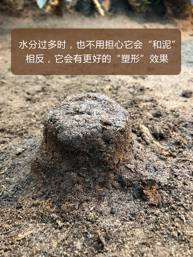 DH雨林地表保湿土壤垫材爬虫陆龟蜥蜴森林地表无菌天然吸味降解 - 图2