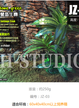 仿真绿植爬虫陆龟蜥蜴守宫造景