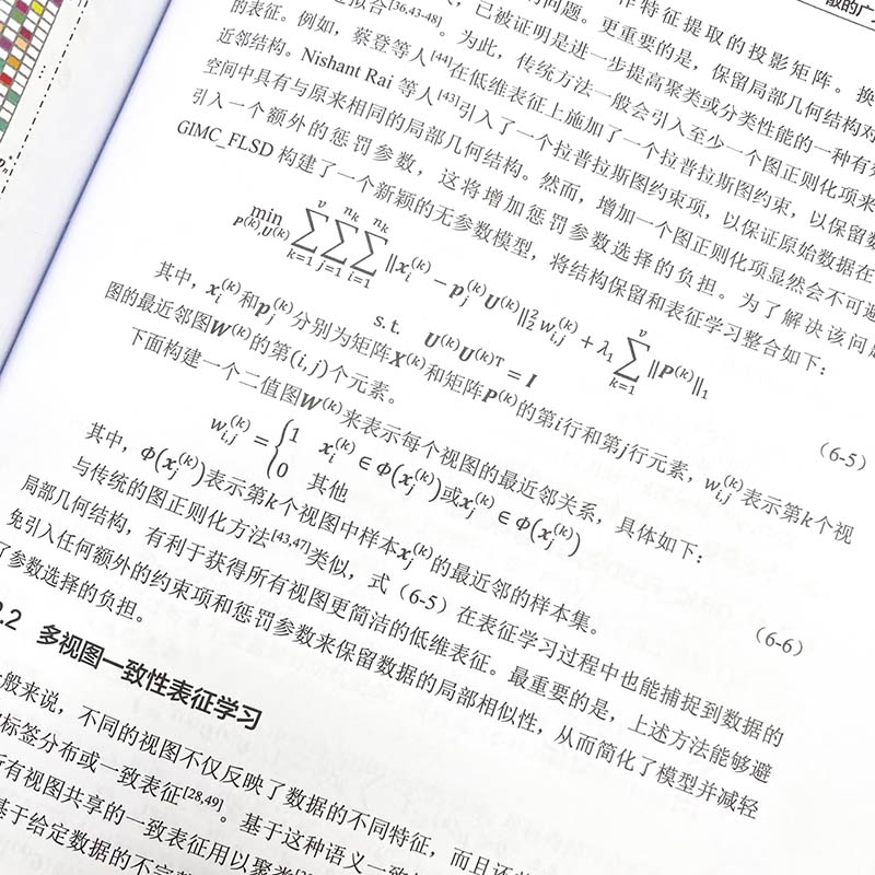 数据分析的结构化表征学习 张正,徐勇,卢光明 著 数据库专业科技 新华书店正版图书籍 人民邮电出版社