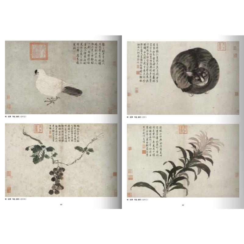 明代花鸟画精品辑录 王国栋 著 绘画（新）艺术 新华书店正版图书籍 北京美术摄影出版社 - 图0