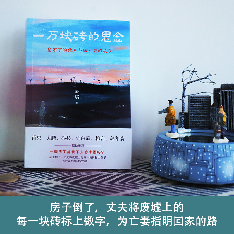 一万块砖的思念 尹琪 著 中国近代随笔文学 新华书店正版图书籍 万卷出版公司 - 图0