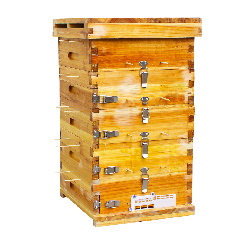 加大格子箱中蜂蜂箱全套加厚杉木土蜂蜂箱5层带观察窗蜂大哥养蜂 - 图3
