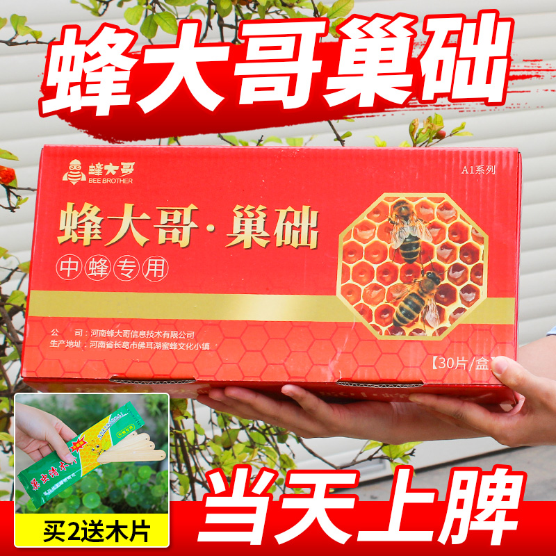 中蜂巢础片蜂大哥蜜蜂巢基蜂箱巢框专用蜂蜡巢脾养蜂巢皮送埋线器 - 图0