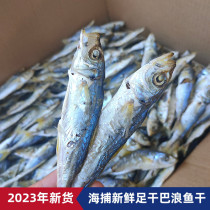 Fujian Tete Class Special Produce Six Cheats Sea Fresh Light Dry Goods Cooked Barangyu Fish Dry Snack Bulk 500g Non-salted
