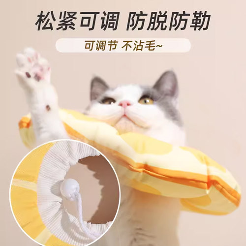 宠物伊丽莎白圈猫咪项圈围脖防舔狗狗脖圈耻辱圈绝育头套饰品软圈 - 图0