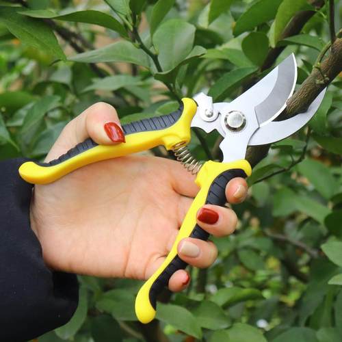 防滑花剪枝园艺剪刀修枝剪省力修剪树枝果树园林花卉专用花艺剪子 - 图1
