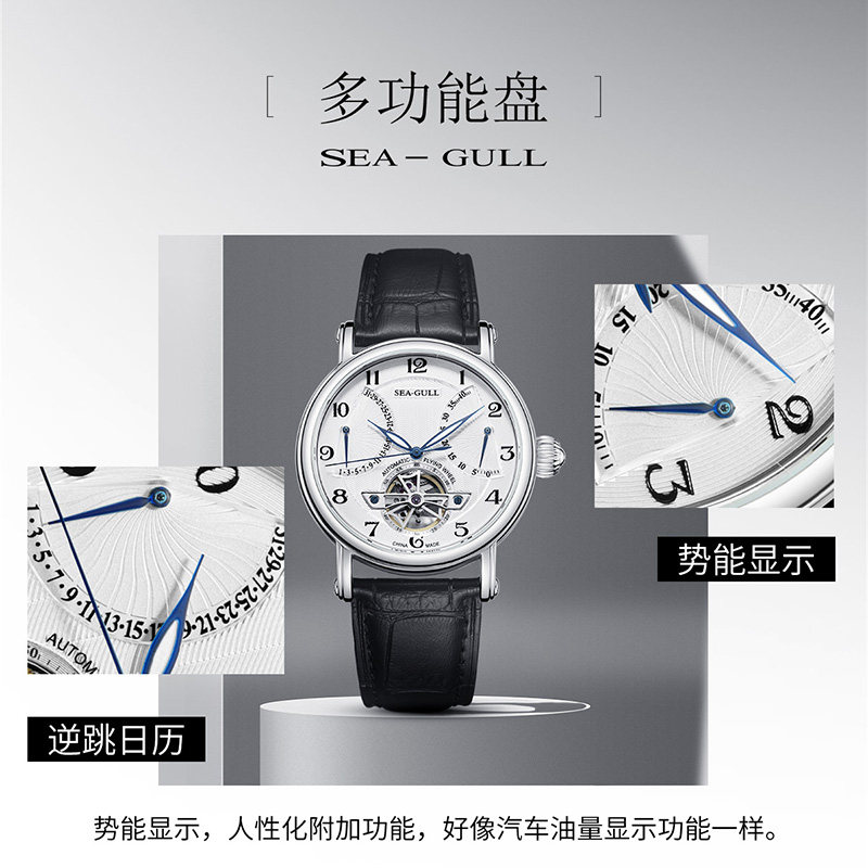 seagull海鸥手表男士飞轮多功能自动机械表皮带男表819.317