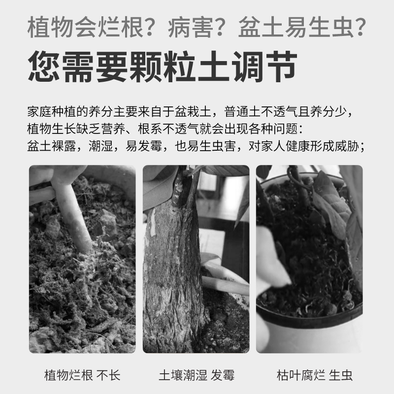 天然绿沸石颗粒多肉专用铺面石颗粒土植物营养土介质防烂根专用土 - 图0