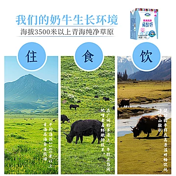 青海湖！高原牧场藏酸奶210g*10盒[6元优惠券]-寻折猪