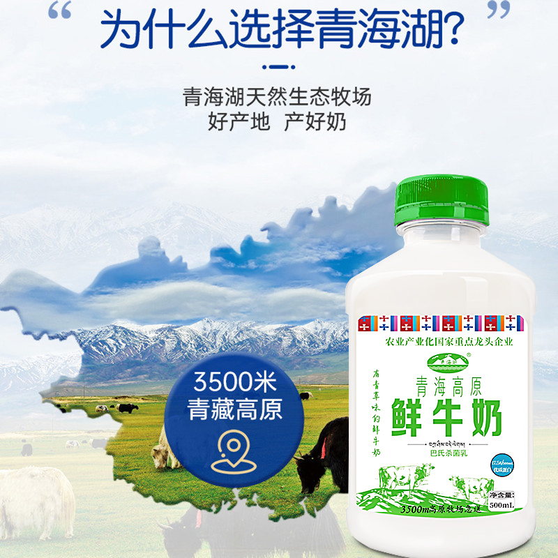 青海湖青海高原鲜牛奶500ml*4瓶巴氏杀菌低温纯鲜活青藏高原牛奶 - 图1