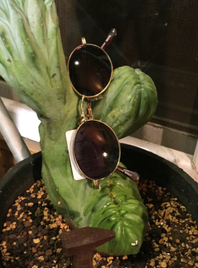 【h外d狗】90年代稀有中古墨镜