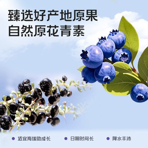 宁安堡杞小养蓝莓黑枸杞原浆鲜榨果汁营养品健康饮品送礼盒2700ml-图0