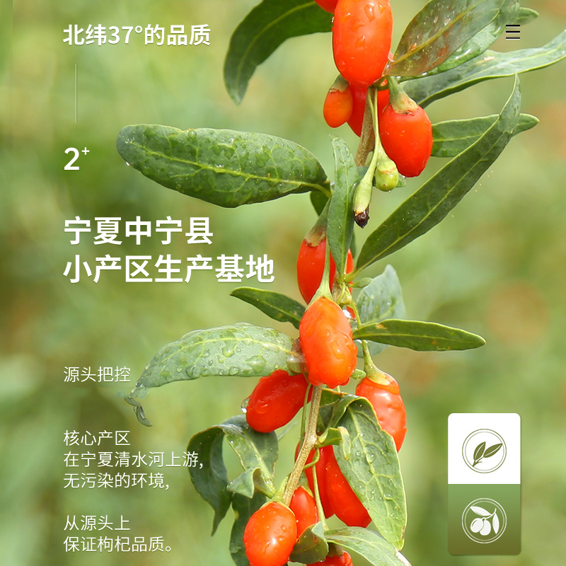 宁安堡免洗中宁优选枸杞礼盒宁夏特产营养补品中秋礼品送长辈父母