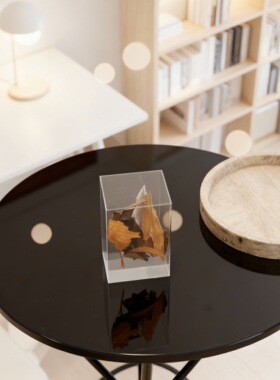 侘寂风亚克力植物标本桌面摆件