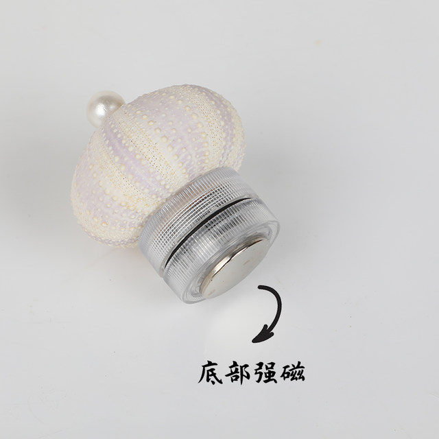 Natural sea urchin night light refrigerator magnet tourist attractions same style conch shell cultural and creative souvenirs special souvenirs