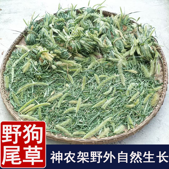 2025 new arrival wild dogtail grass chinese medicinal material bright grass ninetail grass eye ming the efficacy of soaking in water and boiling water