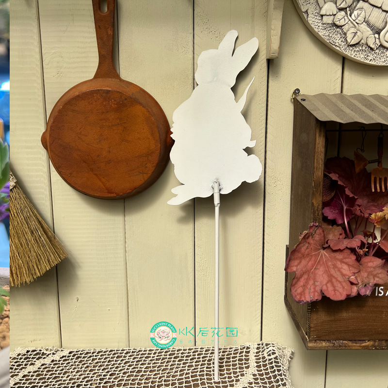 铁艺彼得兔子花插可爱卡通园艺杂货INS独家装饰铁艺摆件创意户外 - 图2