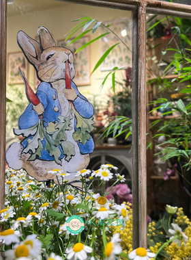 铁艺彼得兔子花插可爱卡通园艺杂货INS独家装饰铁艺摆件创意户外