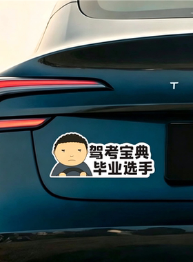 之王车贴Alyo汽磁吸路怒症