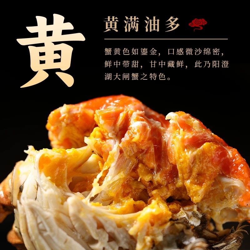 现货苏州官方阳澄精品大闸蟹鲜活特大螃蟹公5.0两母蟹4.0两礼盒装,淘宝优惠券,粉丝福利购,淘宝优惠卷