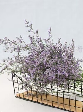 云南勿忘我情人草干花花束鲜花真花家庭家居装饰摆设插花花卉礼物