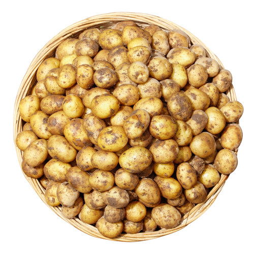 恩施小土豆迷你现挖新鲜黄心土豆当季蔬菜硬币马铃薯洋芋整箱包邮 - 图3