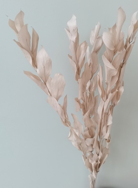 永生花 植物干花  桔叶花艺插花花束配花花材客厅婚庆装饰摆放
