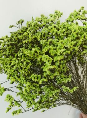 水晶草 干花 家居装饰摆件客厅插瓶真花摆放自由搭配花束 永生花
