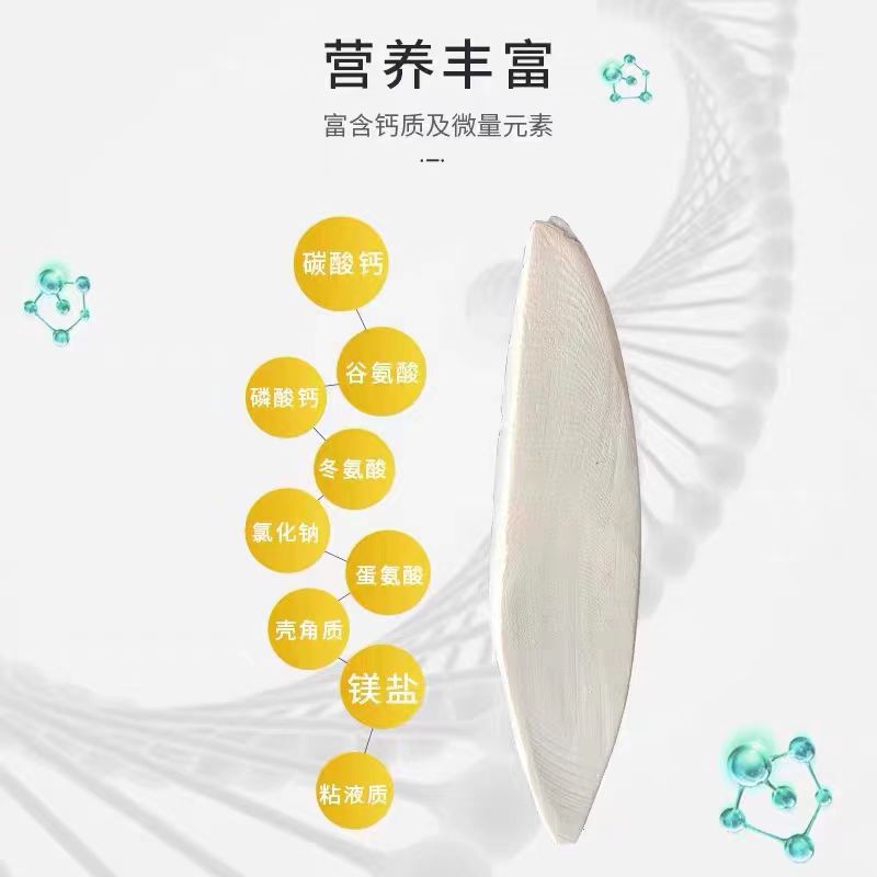 精选宠物鹦鹉牡丹玄凤虎皮专用墨鱼骨磨牙补钙鸟食啃咬玩具用品-图1