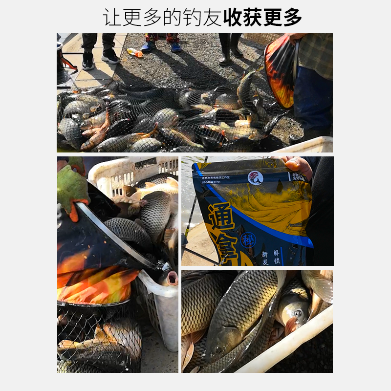 赤鬼鲤独步钓鱼小药单品使用黑坑鲤鱼添加剂饵料诱食剂一瓶搞定