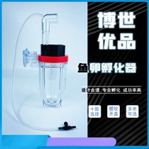 Moustache Grand Sail Three lakes Citats Snapper Fish Eggs Incubators Special Mice Fish Isolated Boxes Seawater Fish Fry Crystal Shrimp Breeding Boxes