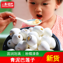 Lake Honghu Qingmud Ba Great Boutique Mill Leather White Lotus 500g New Lotus Seed Mill Leather Hubei Honghu Special Property