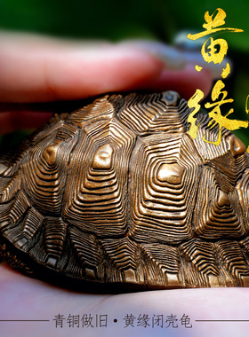 白昼工作室黄缘闭壳龟青铜摆件礼