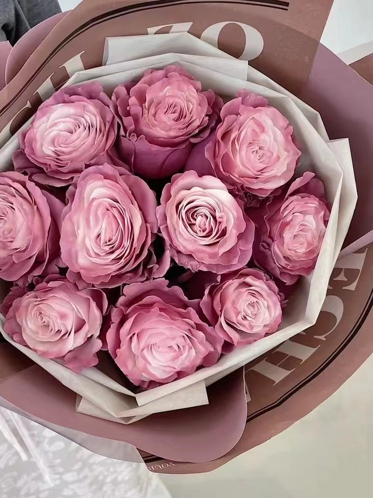 厄瓜多尔豆沙粉mauve roses 玫瑰生日求婚花七夕广州花店全国包邮 - 图2