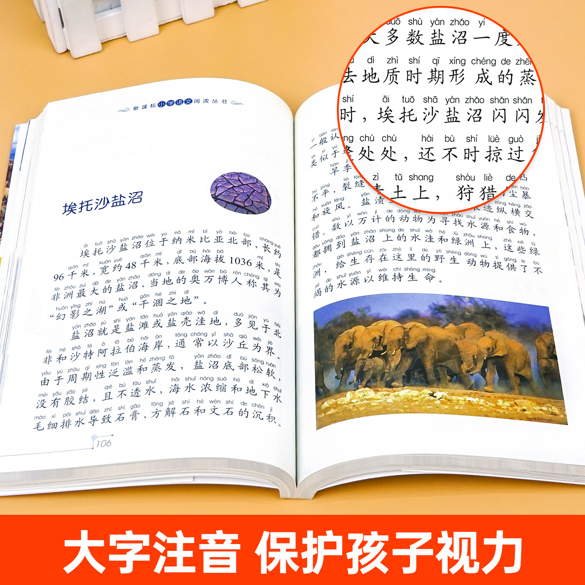 世界100个自然奇观彩图注音版小学生一年级阅读课外书必读老师推荐语文基础阅读配套丛书二三年级读物带拼音正版儿童读物畅销书