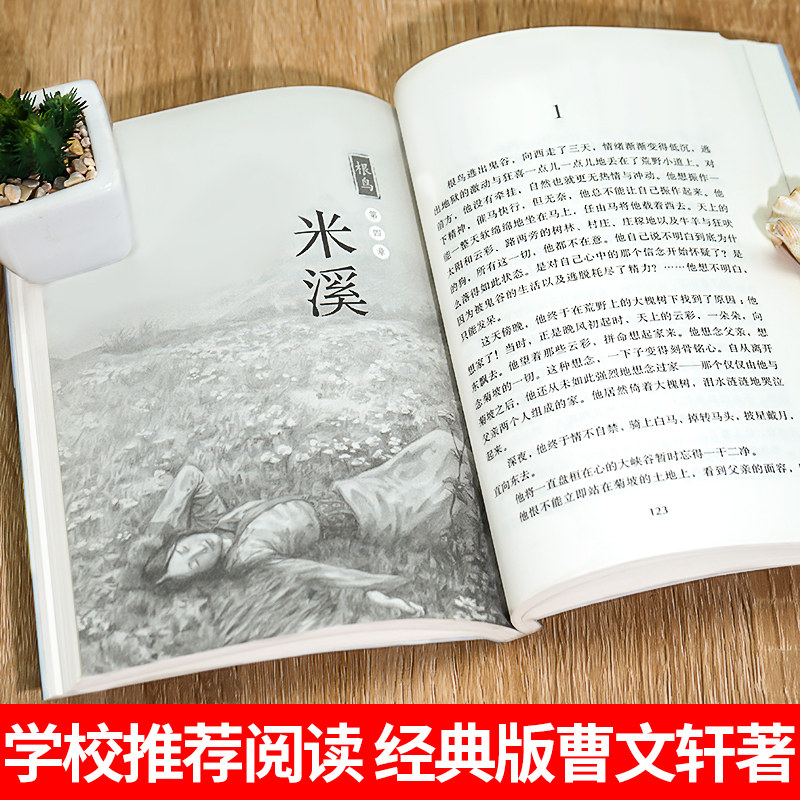 【老师推荐版】根鸟书正版曹文轩包邮小学生的儿童文学系列全套五年级六年级课外书必读三四初中生新版课外阅读书籍10-15岁读物_虎窝淘