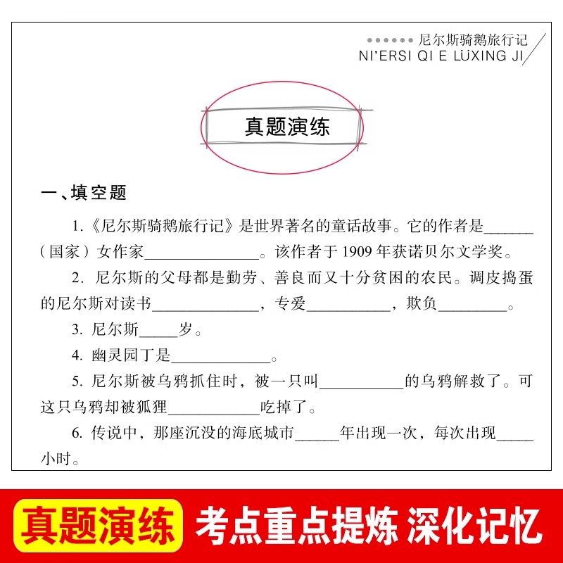 尼尔斯骑鹅旅行记六年级正版下册必读课外书 汤姆索亚历险记 完整版原著原版青少年版马克吐温快乐读书吧小学生6年级课外阅读书籍 - 图2