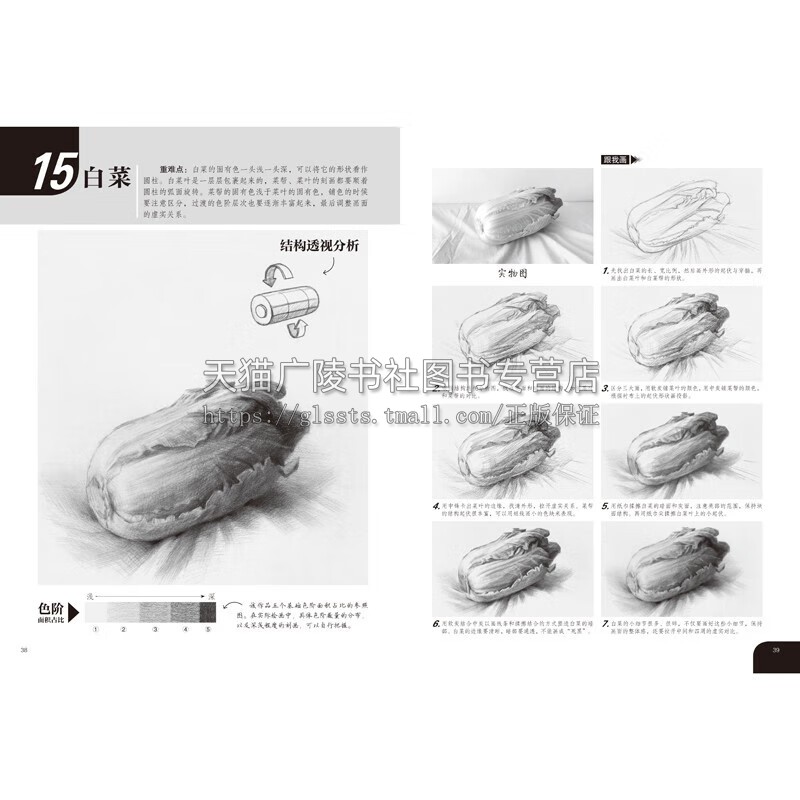 素描技法 从入门到精通(3册)教学视频素描轻松画 生活小物 昆虫动物 花果植物 铅笔画 从结构到明暗 素描速写绘画书籍 正版书籍