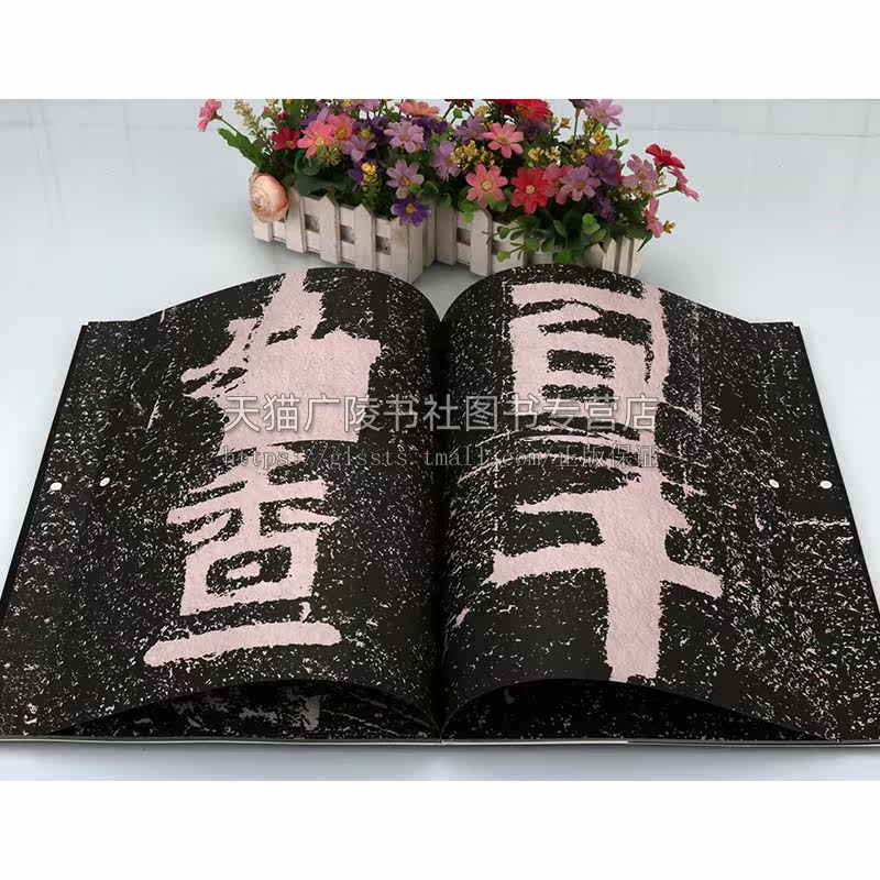中国石刻书法精粹 冈山入楞伽经 中国传统艺术经典书系书法理论字帖楷书教程篆刻碑帖爱好者初学者练习赏析临摹范本山东美术出版社