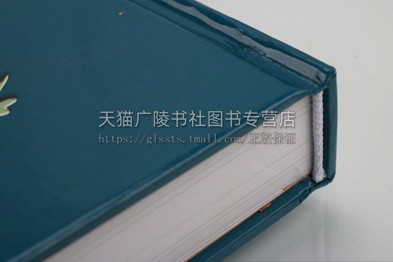 苏州旧街巷图录 江南水乡古镇平门城墙阊门玄妙观寒山寺观牌坊山水胜迹古城风貌地方文化旅行指南书籍 广陵书社